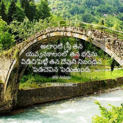 Picture 05 - సామెత 2:17 TELIRV - అలాంటి స్త్రీ తన - Bible Verse Picture