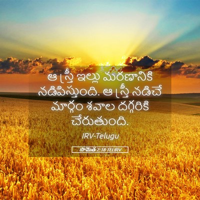 Picture 05 - సామెత 2:18 TELIRV - ఆ స్త్రీ ఇల్లు - Bible Verse Picture