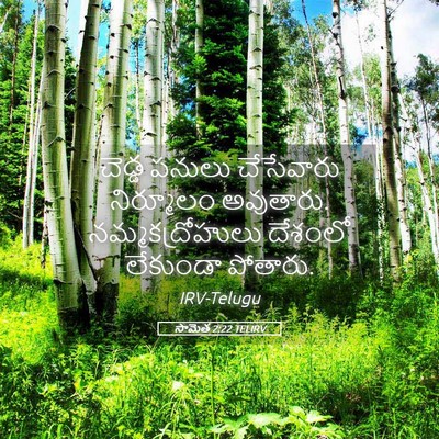 Picture 05 - సామెత 2:22 TELIRV - చెడ్డ పనులు - Bible Verse Picture