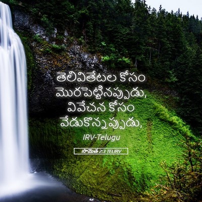 Picture 05 - సామెత 2:3 TELIRV - తెలివితేటల కోసం - Bible Verse Picture