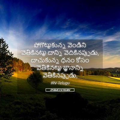 Picture 05 - సామెత 2:4 TELIRV - పోగొట్టుకున్న - Bible Verse Picture