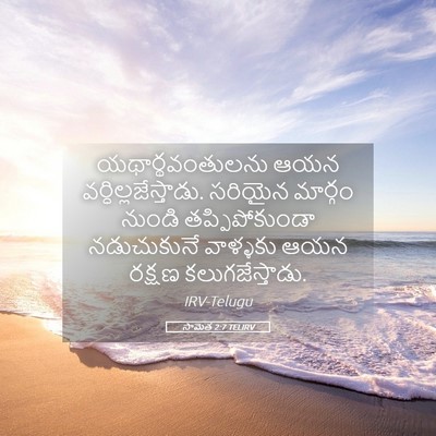 Picture 05 - సామెత 2:7 TELIRV - యథార్థవంతులను ఆయన - Bible Verse Picture