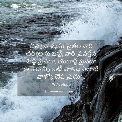 Picture 05 - సామెత 20:11 TELIRV - చిన్నవాళ్ళను సైతం - Bible Verse Picture
