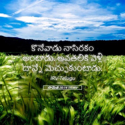 Picture 05 - సామెత 20:14 TELIRV - కొనేవాడు నాసిరకం - Bible Verse Picture