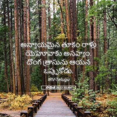 Picture 05 - సామెత 20:23 TELIRV - అన్యాయమైన తూకం - Bible Verse Picture