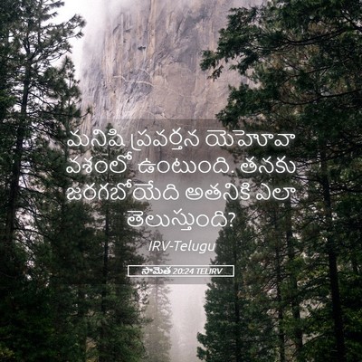 Picture 05 - సామెత 20:24 TELIRV - మనిషి ప్రవర్తన - Bible Verse Picture