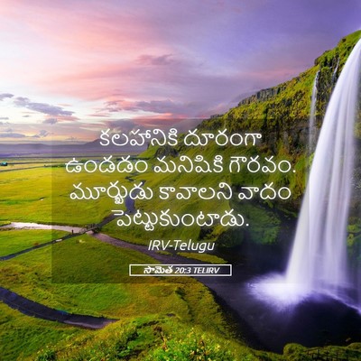 Picture 05 - సామెత 20:3 TELIRV - కలహానికి దూరంగా - Bible Verse Picture