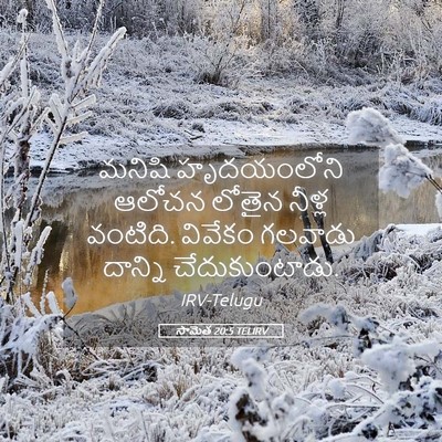 Picture 05 - సామెత 20:5 TELIRV - మనిషి హృదయంలోని - Bible Verse Picture