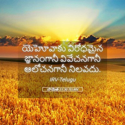 Picture 05 - సామెత 21:30 TELIRV - యెహోవాకు విరోధమైన - Bible Verse Picture