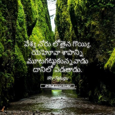 Picture 05 - సామెత 22:14 TELIRV - వేశ్య నోరు లోతైన - Bible Verse Picture