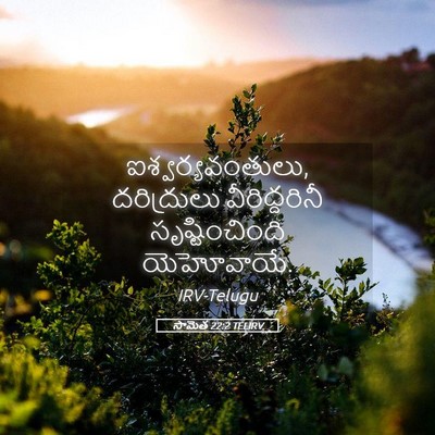 Picture 05 - సామెత 22:2 TELIRV - ఐశ్వర్యవంతులు, - Bible Verse Picture