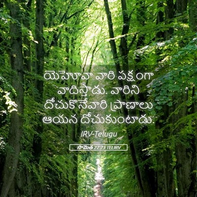 Picture 05 - సామెత 22:23 TELIRV - యెహోవా వారి - Bible Verse Picture