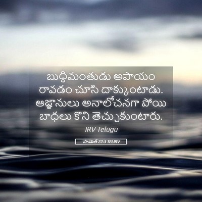 Picture 05 - సామెత 22:3 TELIRV - బుద్ధిమంతుడు - Bible Verse Picture