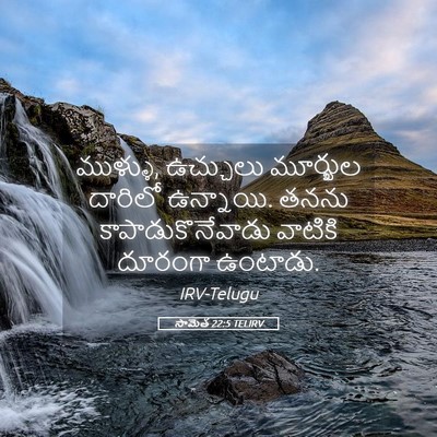 Picture 05 - సామెత 22:5 TELIRV - ముళ్ళు, ఉచ్చులు - Bible Verse Picture