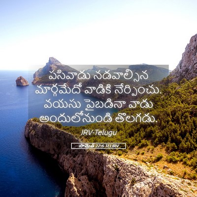 Picture 05 - సామెత 22:6 TELIRV - పసివాడు నడవాల్సిన - Bible Verse Picture