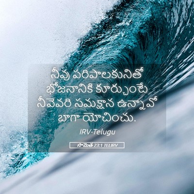 Picture 05 - సామెత 23:1 TELIRV - నీవు పరిపాలకునితో - Bible Verse Picture