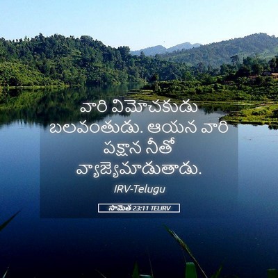 Picture 05 - సామెత 23:11 TELIRV - వారి విమోచకుడు - Bible Verse Picture