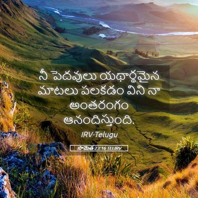 Picture 05 - సామెత 23:16 TELIRV - నీ పెదవులు - Bible Verse Picture