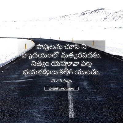 Picture 05 - సామెత 23:17 TELIRV - పాపులను చూసి నీ - Bible Verse Picture