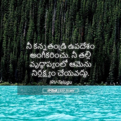 Picture 05 - సామెత 23:22 TELIRV - నీ కన్నతండ్రి - Bible Verse Picture