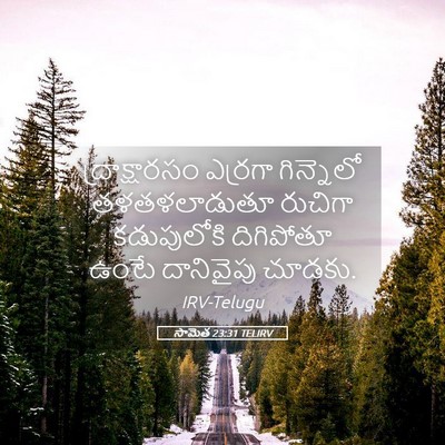 Picture 05 - సామెత 23:31 TELIRV - ద్రాక్షారసం - Bible Verse Picture