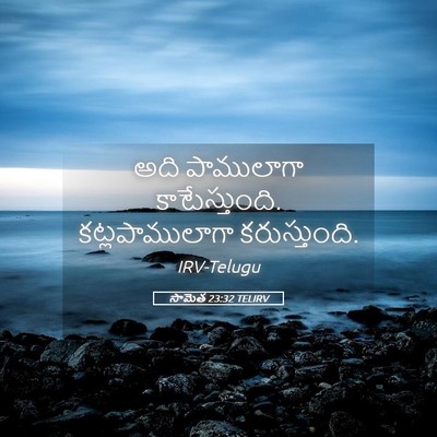 Picture 05 - సామెత 23:32 TELIRV - అది పాములాగా - Bible Verse Picture