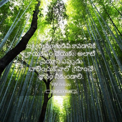 Picture 05 - సామెత 23:4 TELIRV - ఐశ్వర్యవంతుడివి - Bible Verse Picture