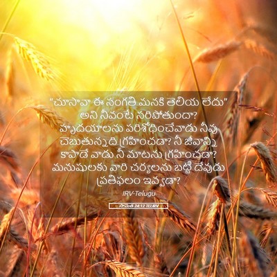 Picture 05 - సామెత 24:12 TELIRV - “చూసావా ఈ సంగతి - Bible Verse Picture