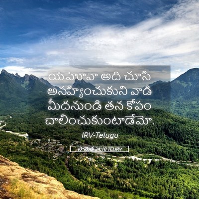 Picture 05 - సామెత 24:18 TELIRV - యెహోవా అది చూసి - Bible Verse Picture