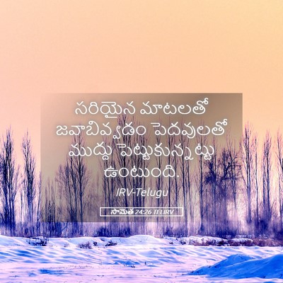 Picture 05 - సామెత 24:26 TELIRV - సరియైన మాటలతో - Bible Verse Picture
