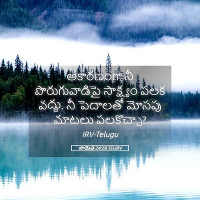 Picture 05 - సామెత 24:28 TELIRV - అకారణంగా నీ - Bible Verse Picture