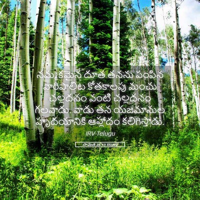 Picture 05 - సామెత 25:13 TELIRV - నమ్మకమైన దూత తనను - Bible Verse Picture