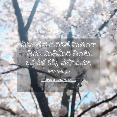 Picture 05 - సామెత 25:16 TELIRV - నీకు తేనె - Bible Verse Picture