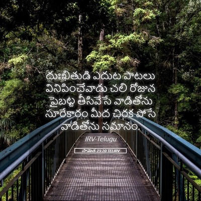 Picture 05 - సామెత 25:20 TELIRV - దుఃఖితుడి ఎదుట - Bible Verse Picture