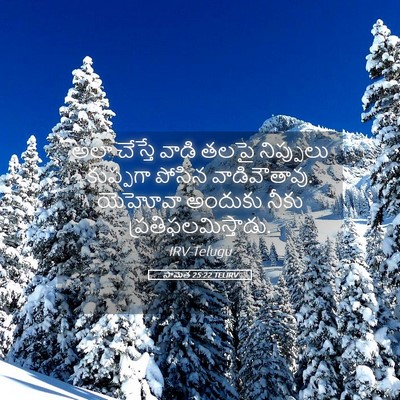 Picture 05 - సామెత 25:22 TELIRV - అలా చేస్తే వాడి - Bible Verse Picture