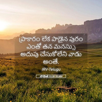 Picture 05 - సామెత 25:28 TELIRV - ప్రాకారం లేక - Bible Verse Picture