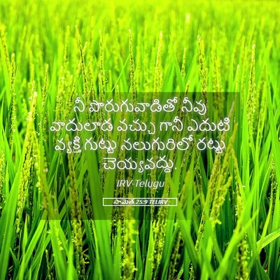 Picture 05 - సామెత 25:9 TELIRV - నీ పొరుగువాడితో - Bible Verse Picture