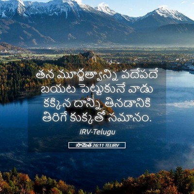 Picture 05 - సామెత 26:11 TELIRV - తన మూర్ఖత్వాన్ని - Bible Verse Picture