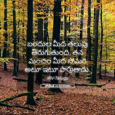 Picture 05 - సామెత 26:14 TELIRV - బందుల మీద తలుపు - Bible Verse Picture