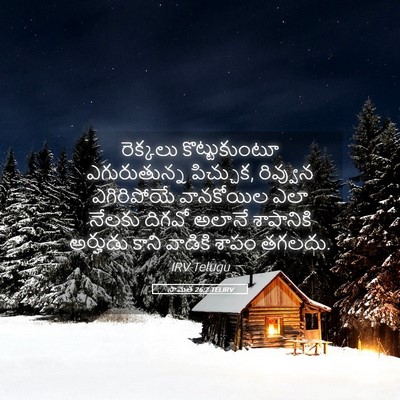 Picture 05 - సామెత 26:2 TELIRV - రెక్కలు - Bible Verse Picture