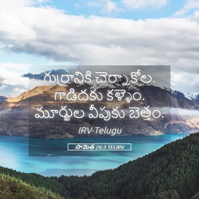 Picture 05 - సామెత 26:3 TELIRV - గుర్రానికి - Bible Verse Picture