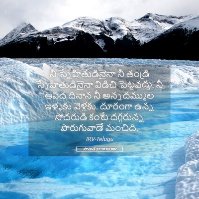 Picture 05 - సామెత 27:10 TELIRV - నీ స్నేహితుడినైనా - Bible Verse Picture