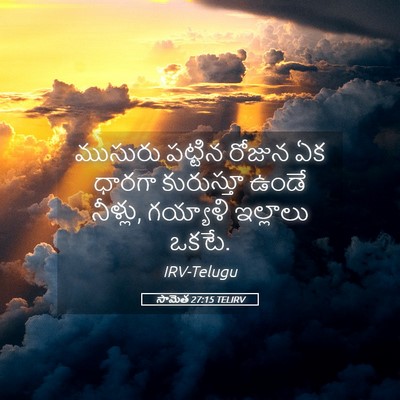 Picture 05 - సామెత 27:15 TELIRV - ముసురు పట్టిన - Bible Verse Picture