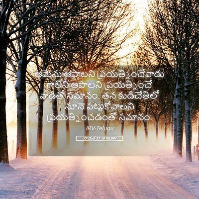 Picture 05 - సామెత 27:16 TELIRV - ఆమెను ఆపాలని - Bible Verse Picture