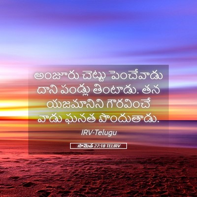 Picture 05 - సామెత 27:18 TELIRV - అంజూరు చెట్టు - Bible Verse Picture