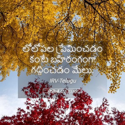 Picture 05 - సామెత 27:5 TELIRV - లోలోపల ప్రేమించడం - Bible Verse Picture