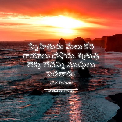 Picture 05 - సామెత 27:6 TELIRV - స్నేహితుడు మేలు - Bible Verse Picture