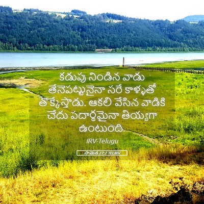 Picture 05 - సామెత 27:7 TELIRV - కడుపు నిండిన వాడు - Bible Verse Picture