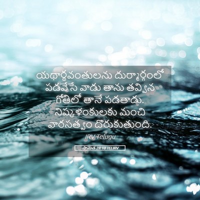 Picture 05 - సామెత 28:10 TELIRV - యథార్థవంతులను - Bible Verse Picture