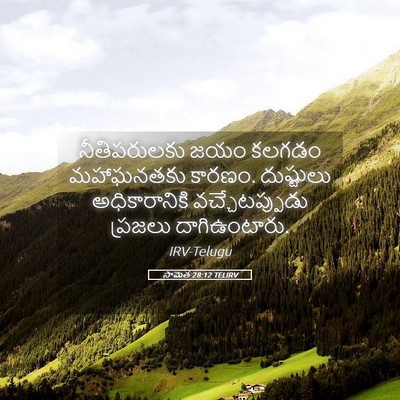 Picture 05 - సామెత 28:12 TELIRV - నీతిపరులకు జయం - Bible Verse Picture